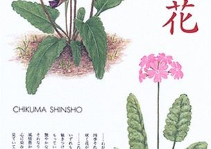 Thumbnail for the post titled: 日本の花
